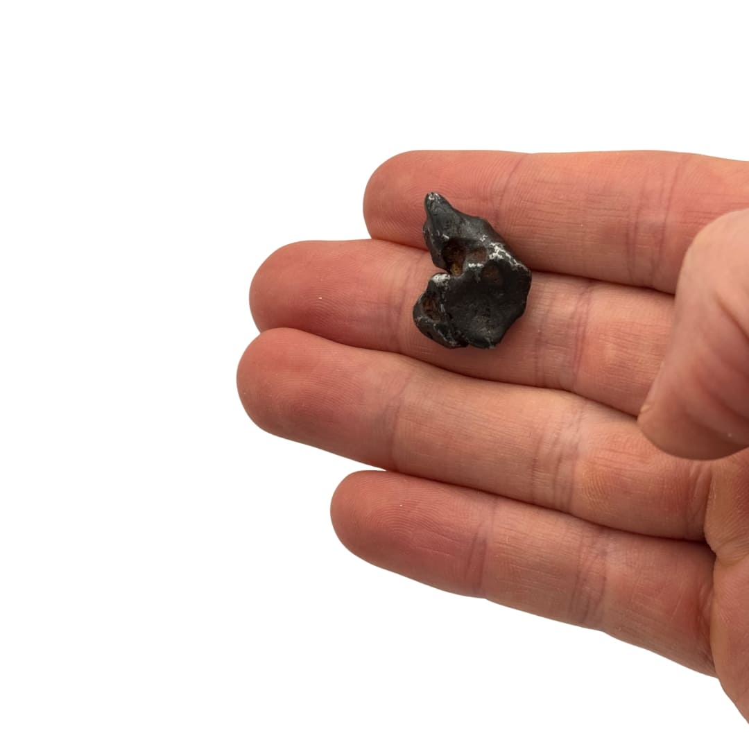 Météorite Canyon Diablo 7.8g - Fragment Unique (Meteor Crater)