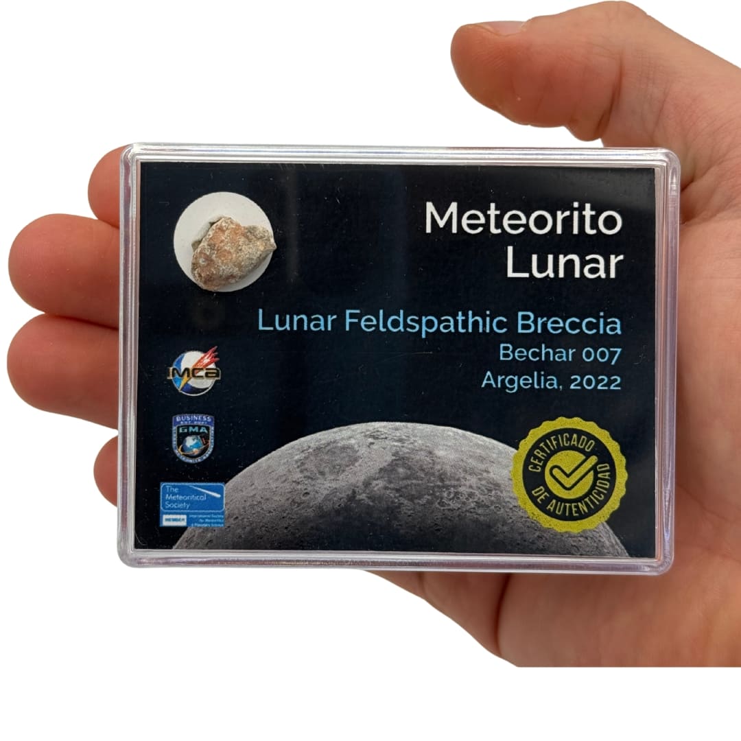 Fragment de Météorite Lunaire - Bechar 007 (Algérie 2022)