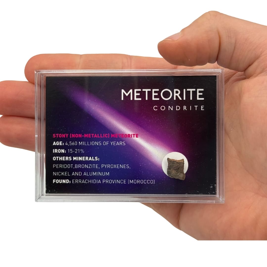 Fragment de Météorite Commune NWA - Chondrite du Sahara