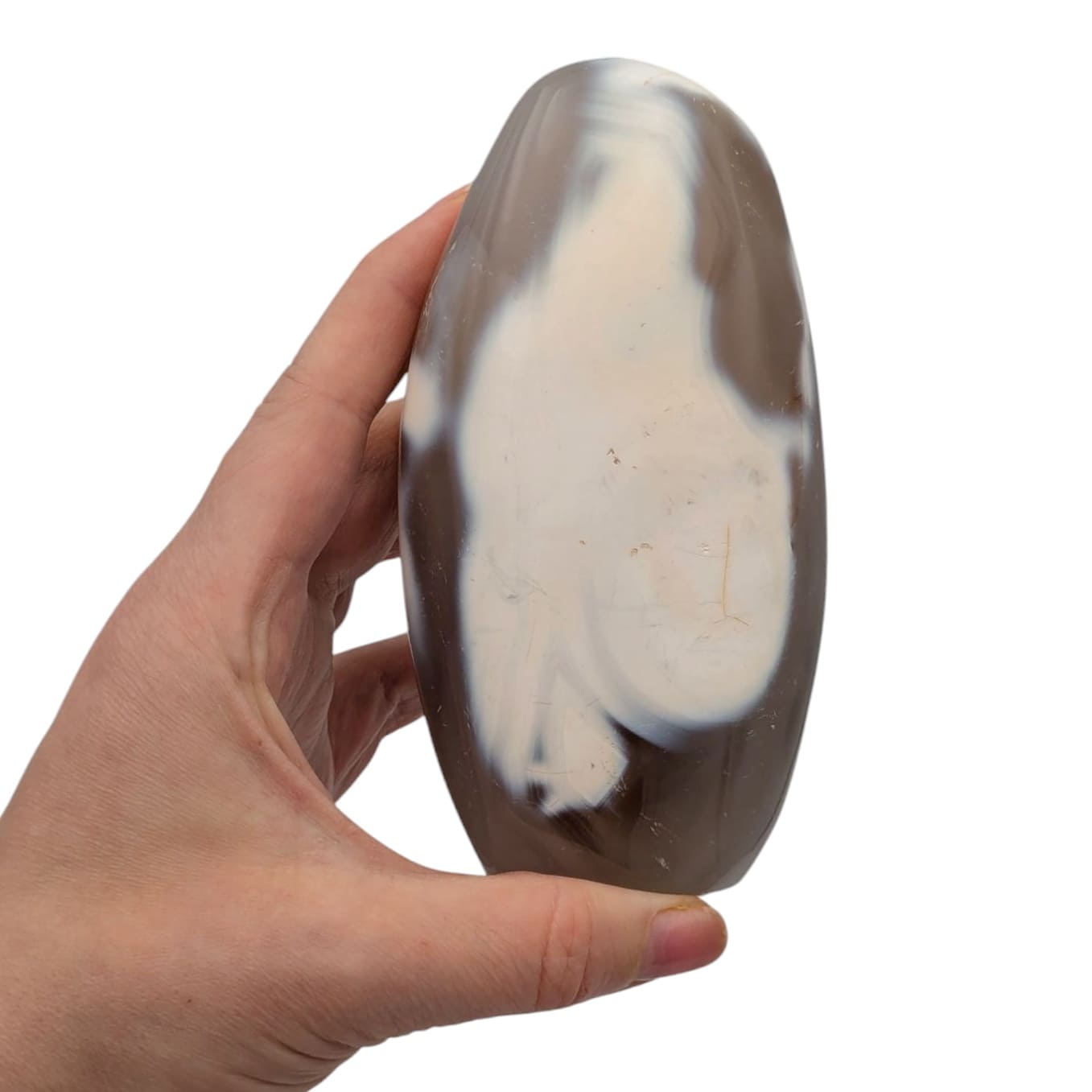 agate orque forme libre