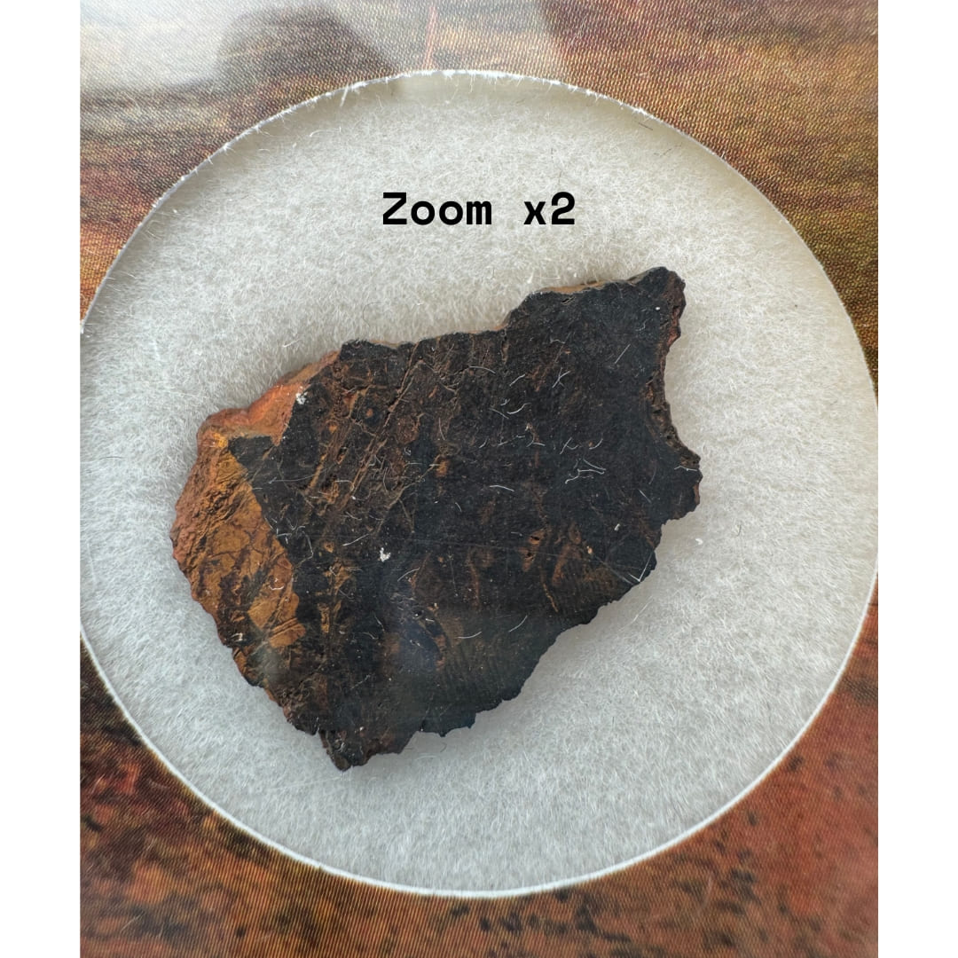 Météorite Wolfe Creek - Shale du Cratère (Australie)