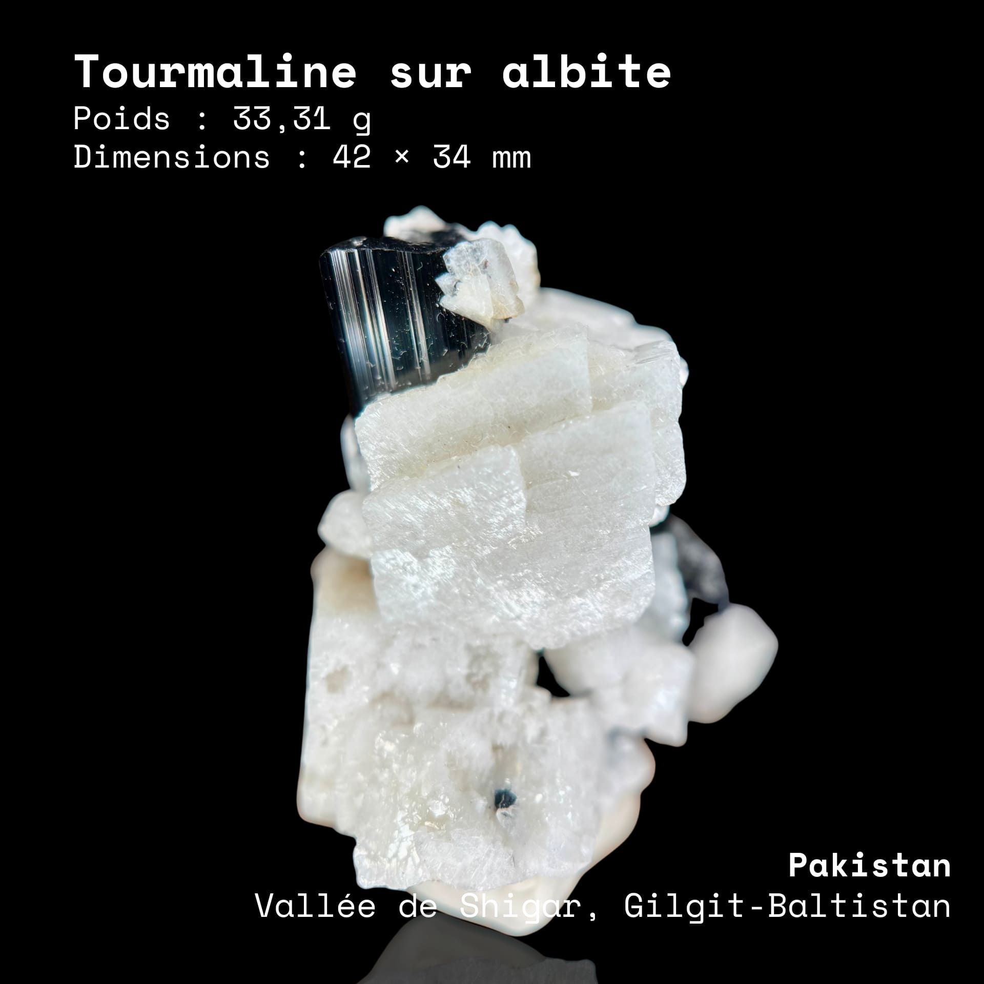 Tourmaline sur albite N°29