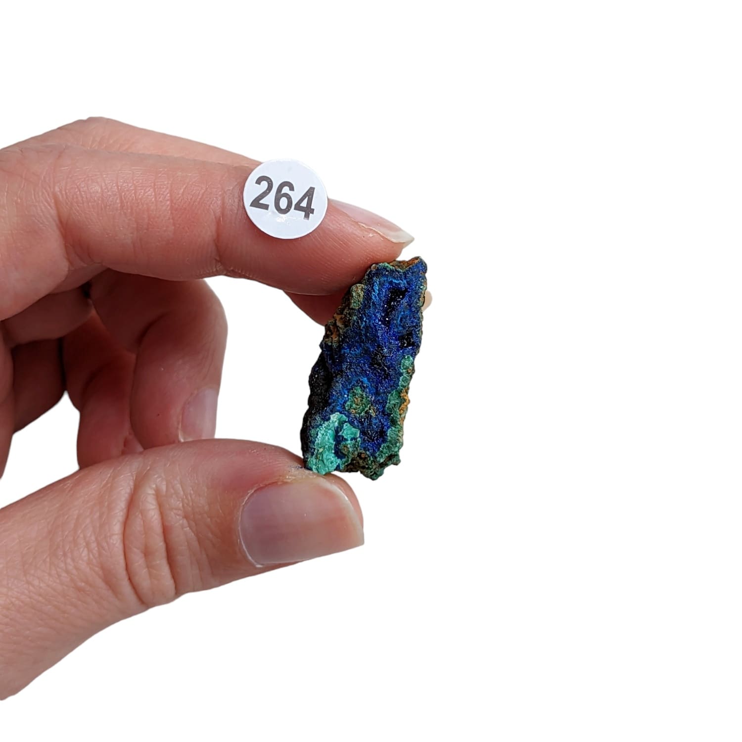 Azurite avec Malachite n°264