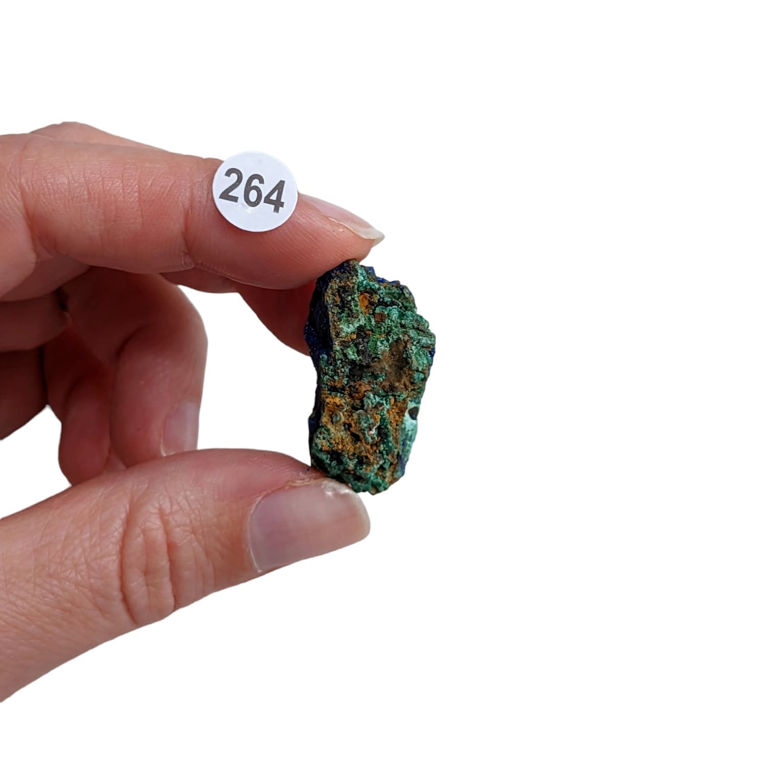 Azurite avec Malachite n°264