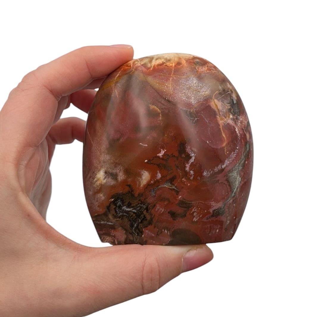 bois pétrifié grosse pierre