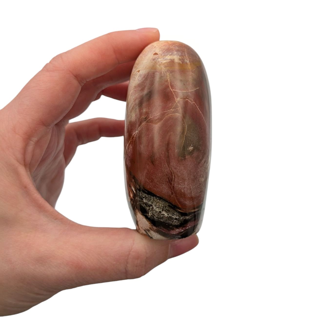 bloc pierre bois pétrifié