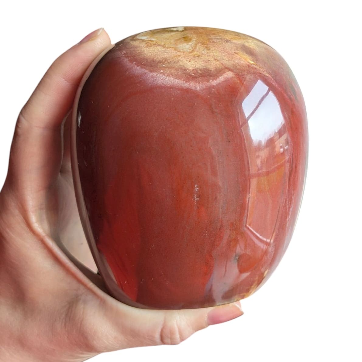 forme libre bois fossile