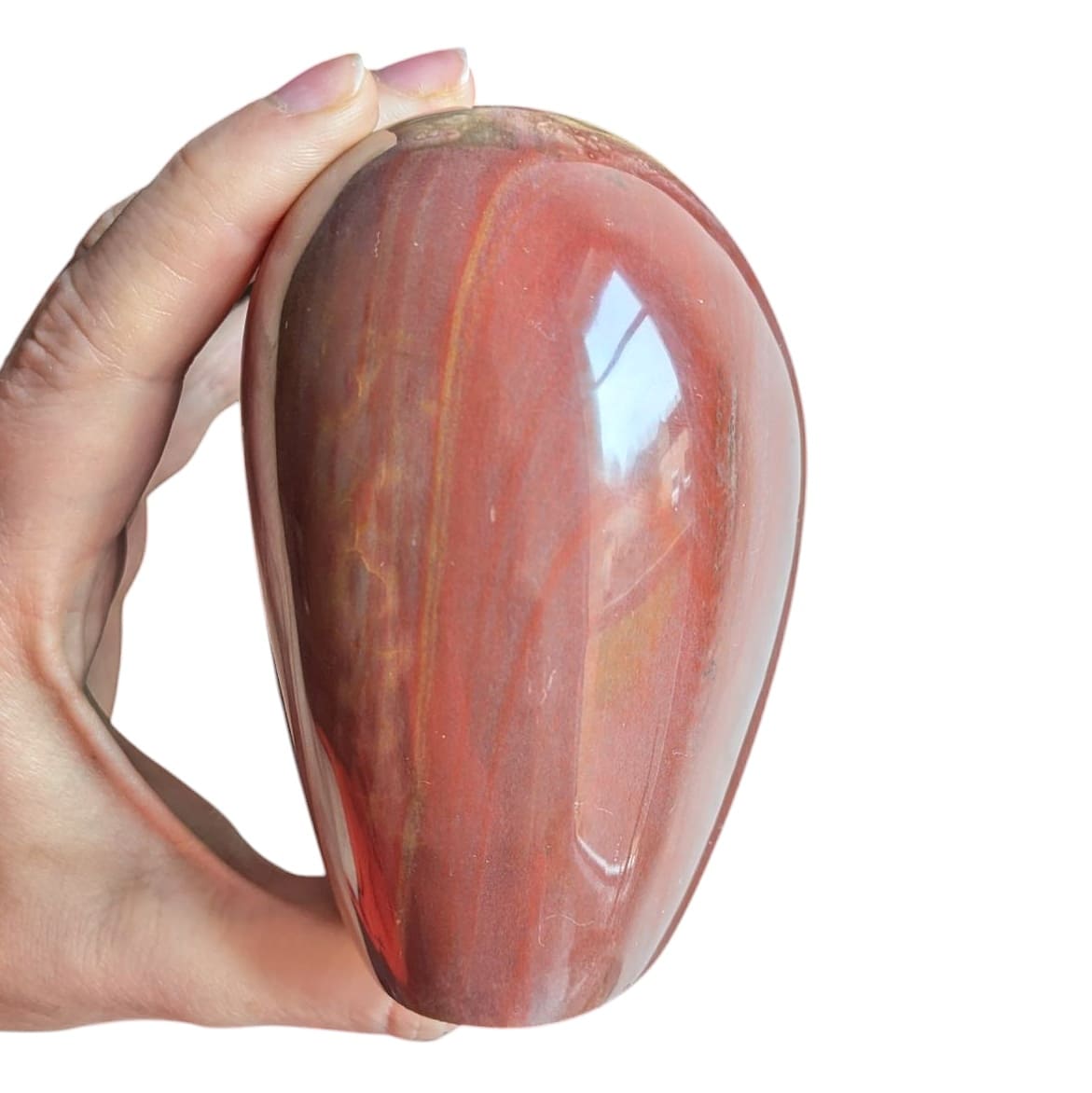 bois fossile pierre à poser