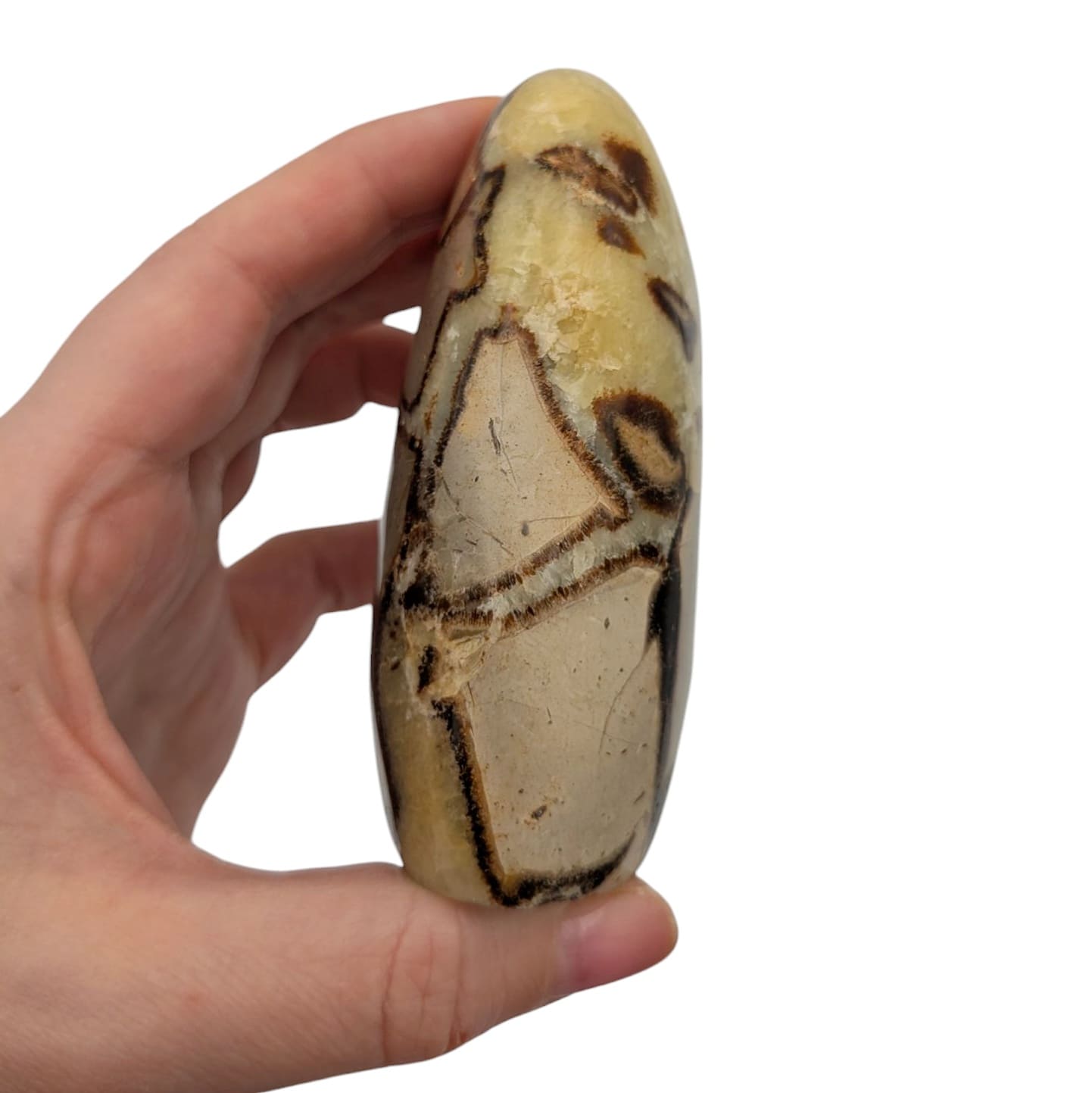 Bloc de Septaria N°3 - 296 gr