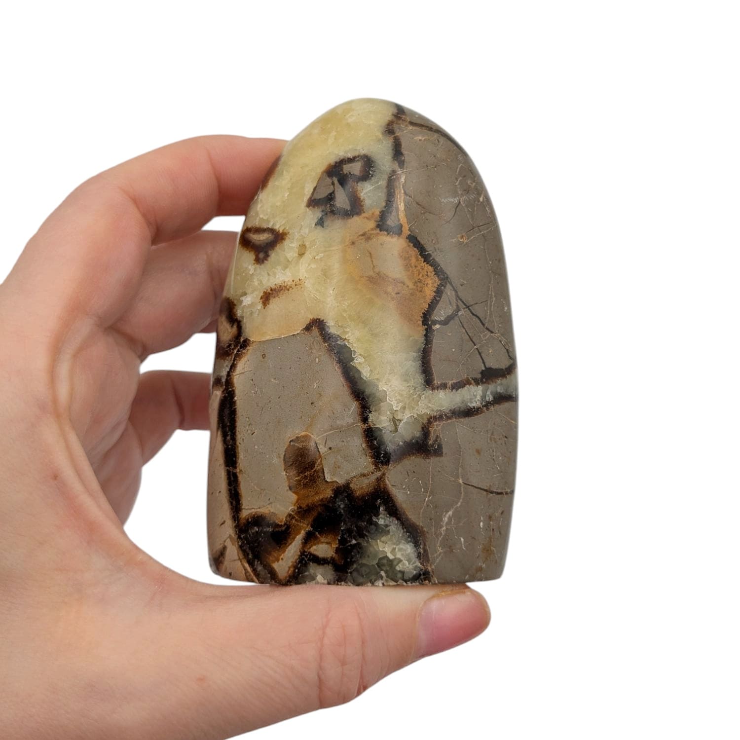 Bloc de Septaria N°3 - 296 gr