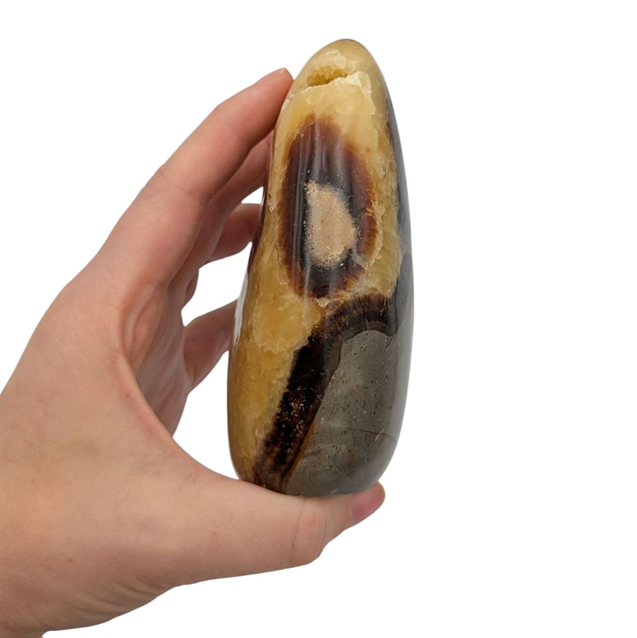 forme libre septaria