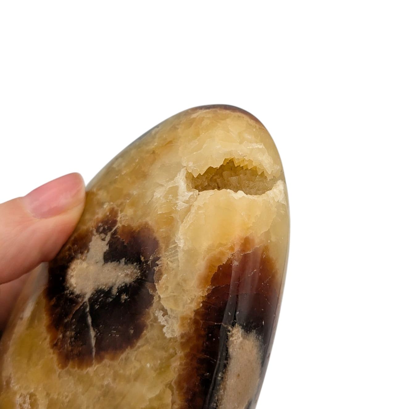 Bloc de Septaria N°4 - 599 gr