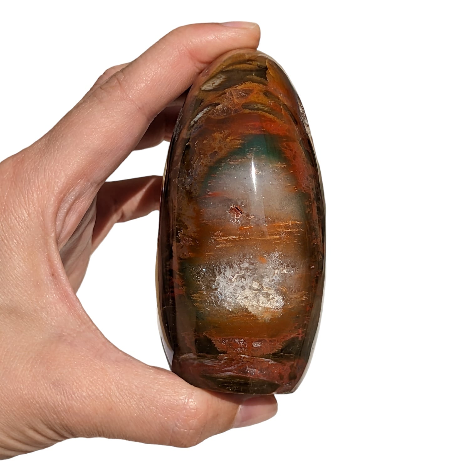 Bois fossilisé N°176
