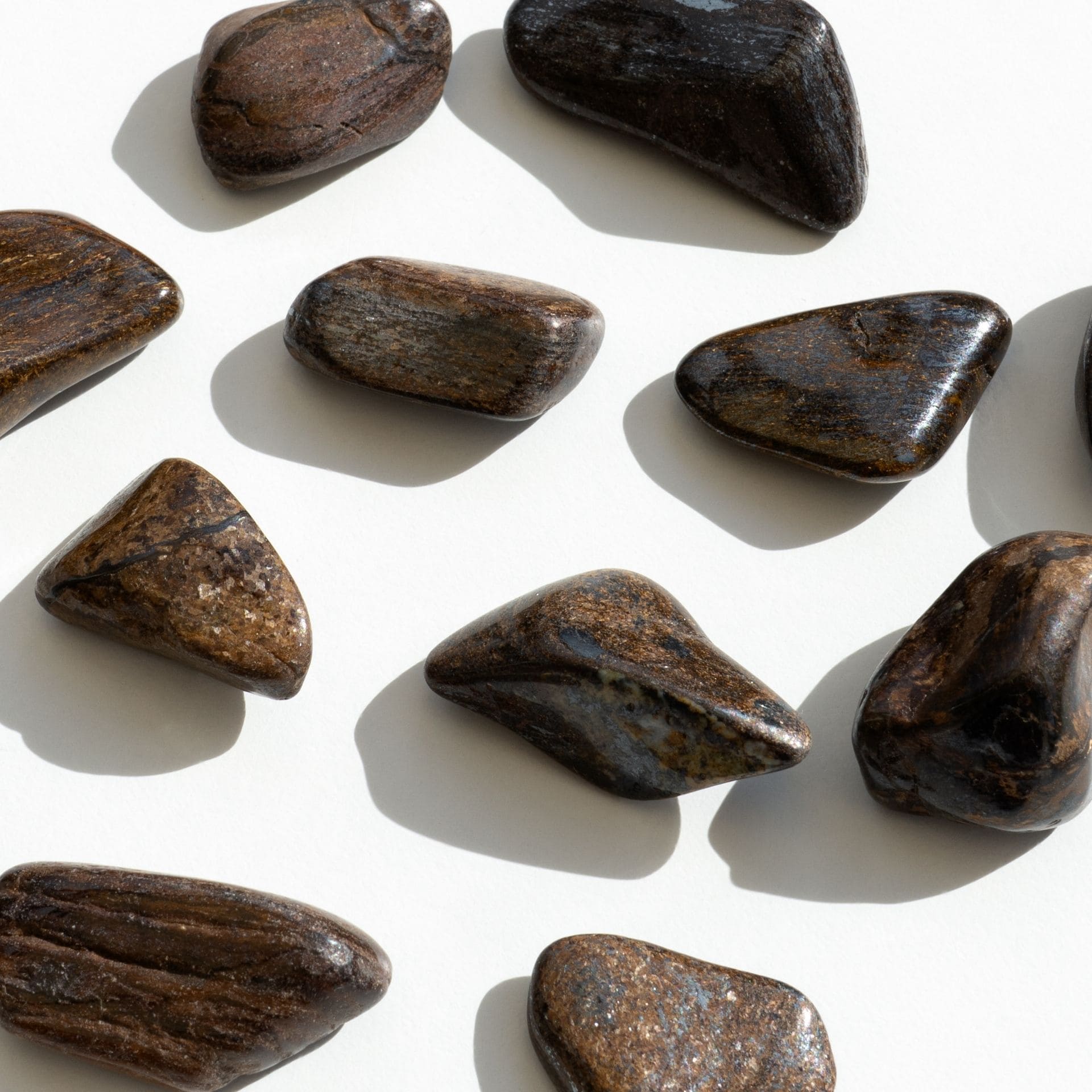 Bronzite zoom