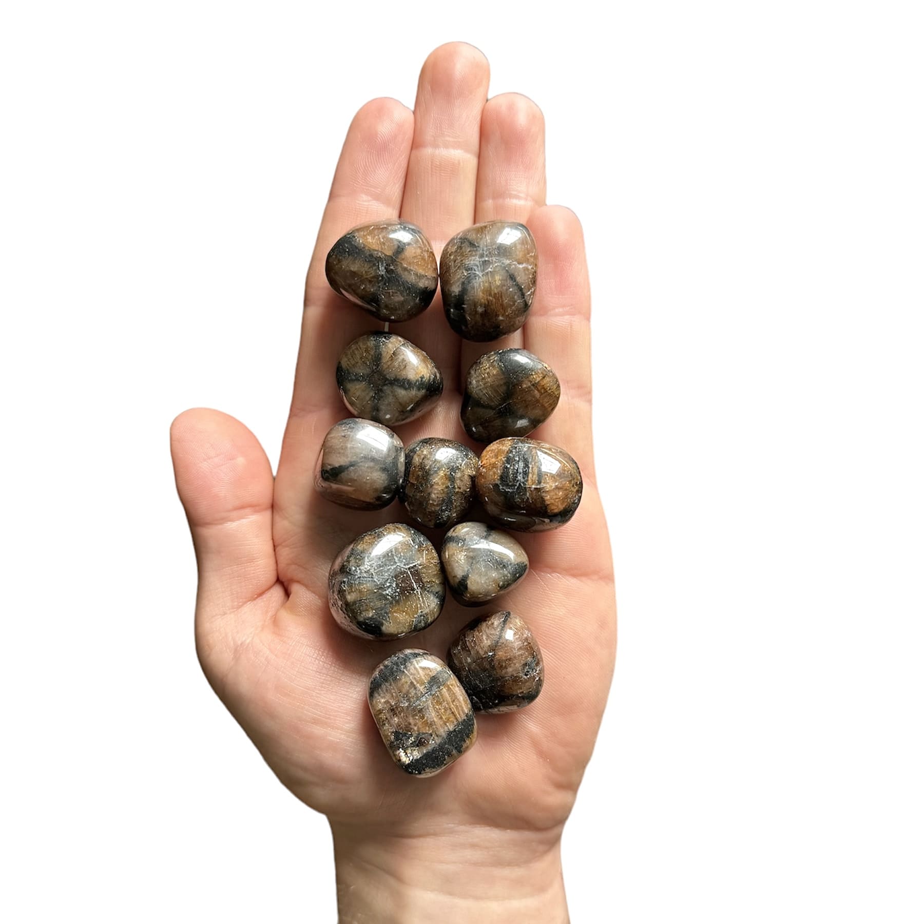 chiastolite ou andaloustite roulée 2 à 3 cm espagne