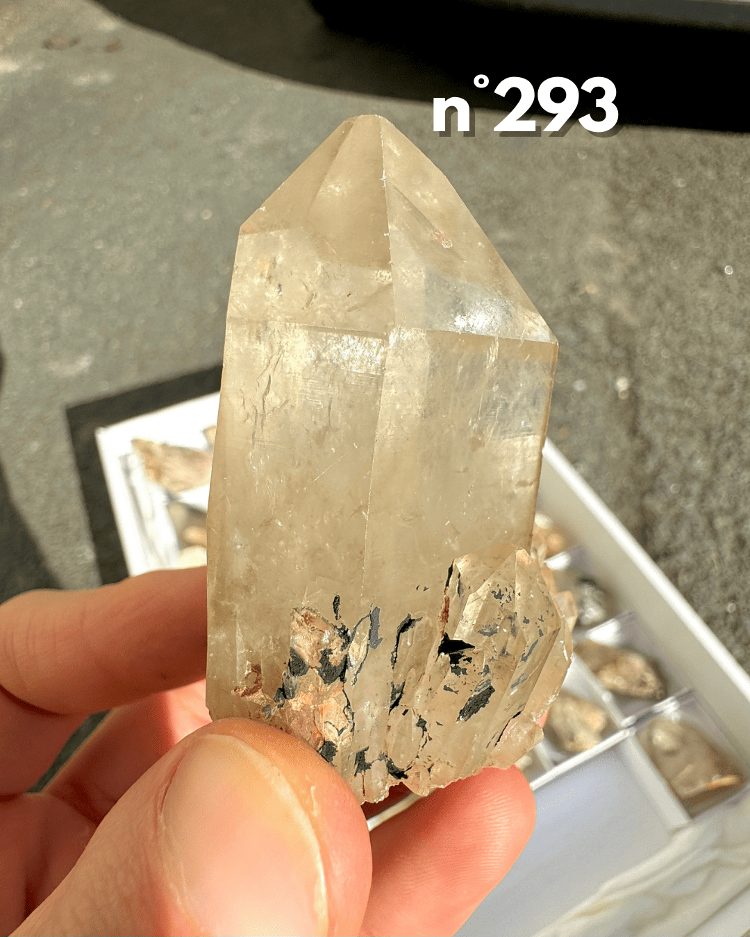 Citrine Brute Naturelle – Pointe de Lumière et Abondance