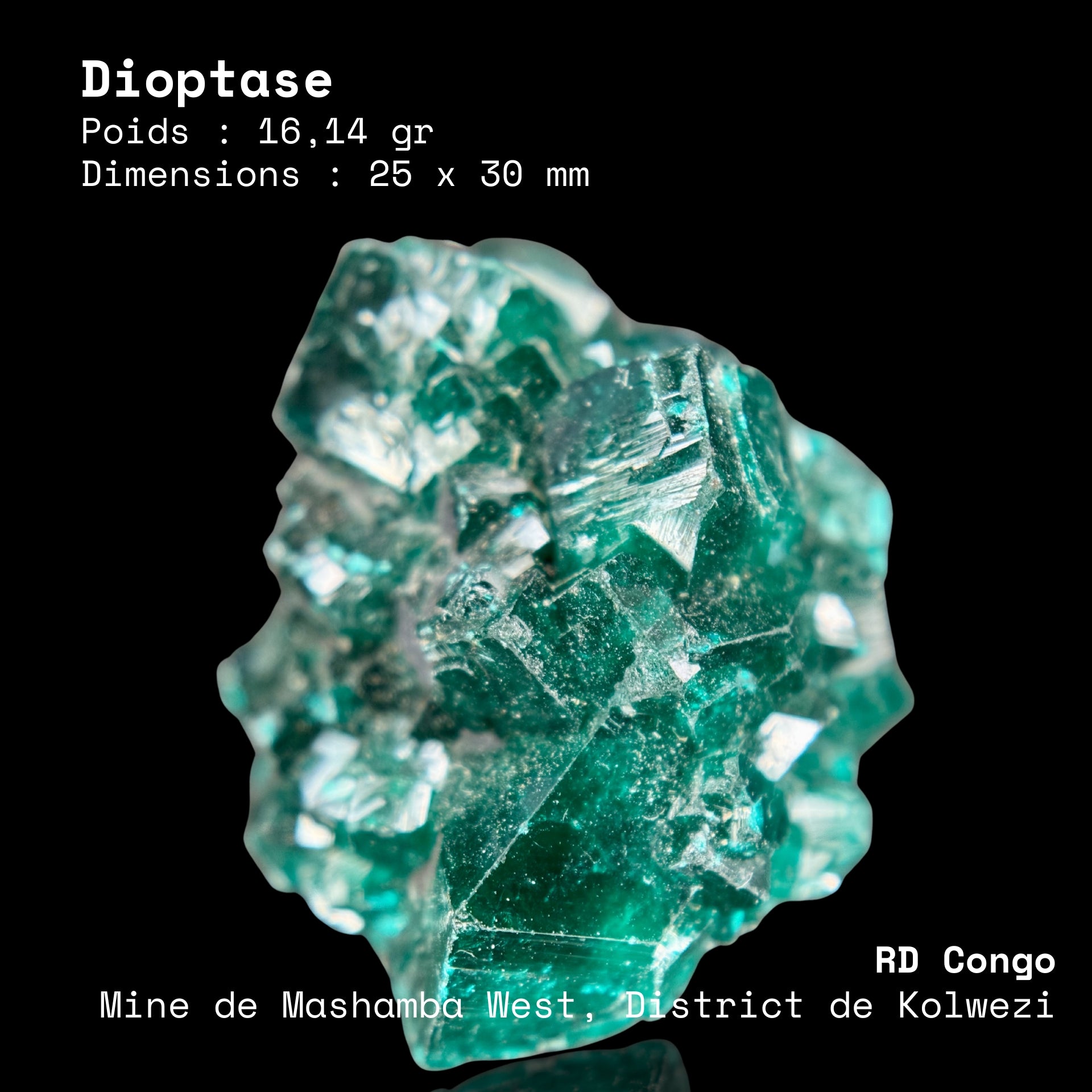 Dioptase Verte Émeraude 16,14gr - Mashamba West (RD Congo)