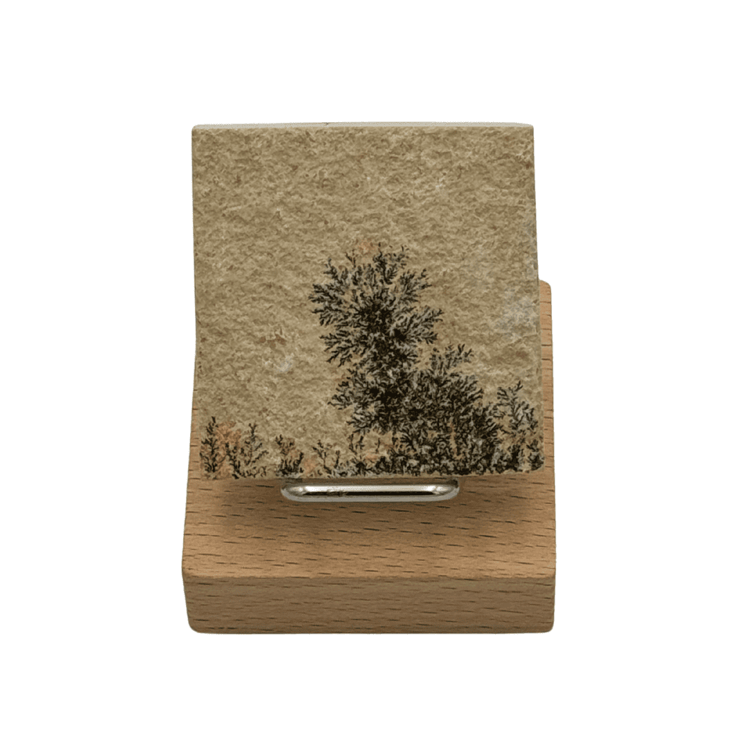 Dendrite sur calcaire