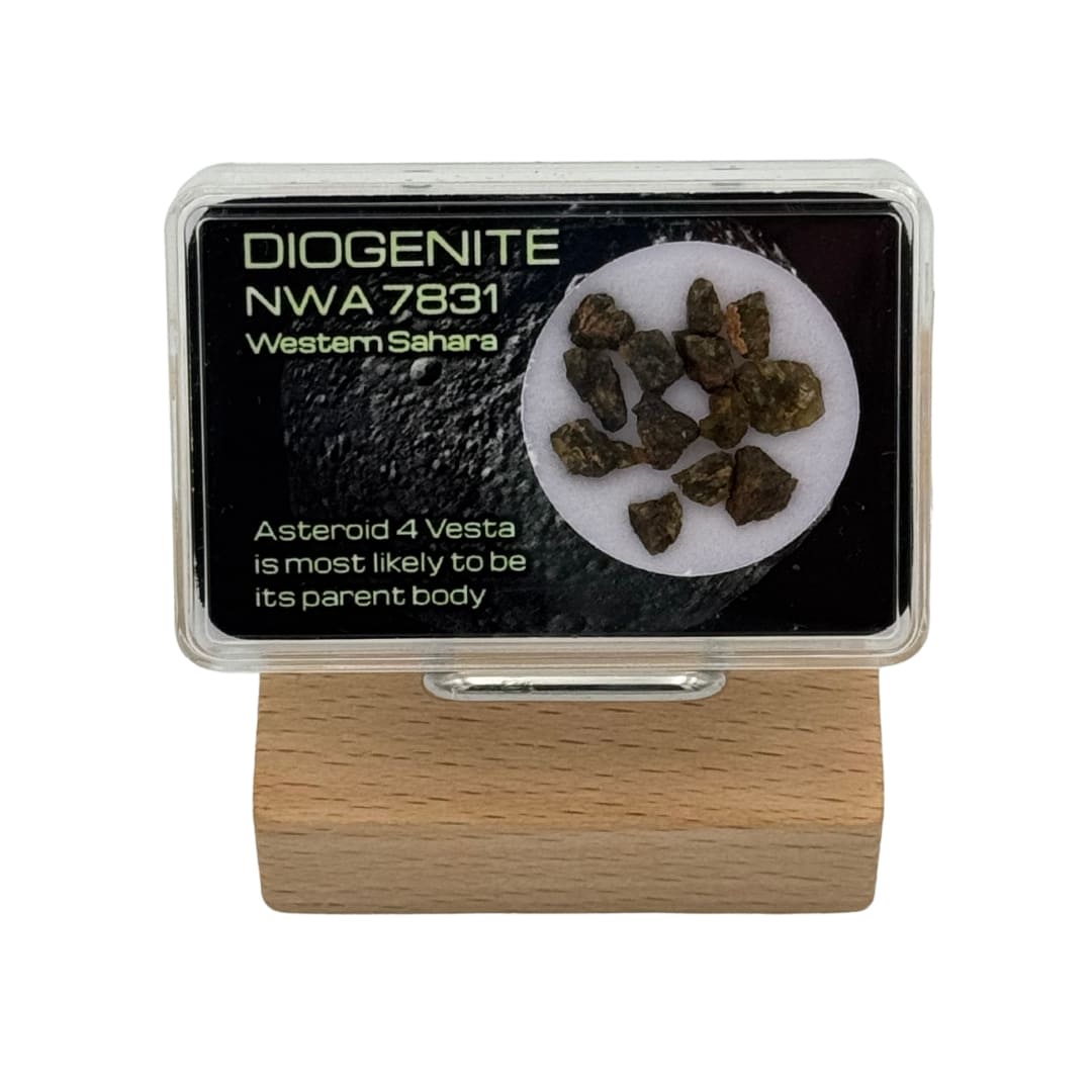Fragments de Météorite NWA 7831 - Diogénite de Vesta
