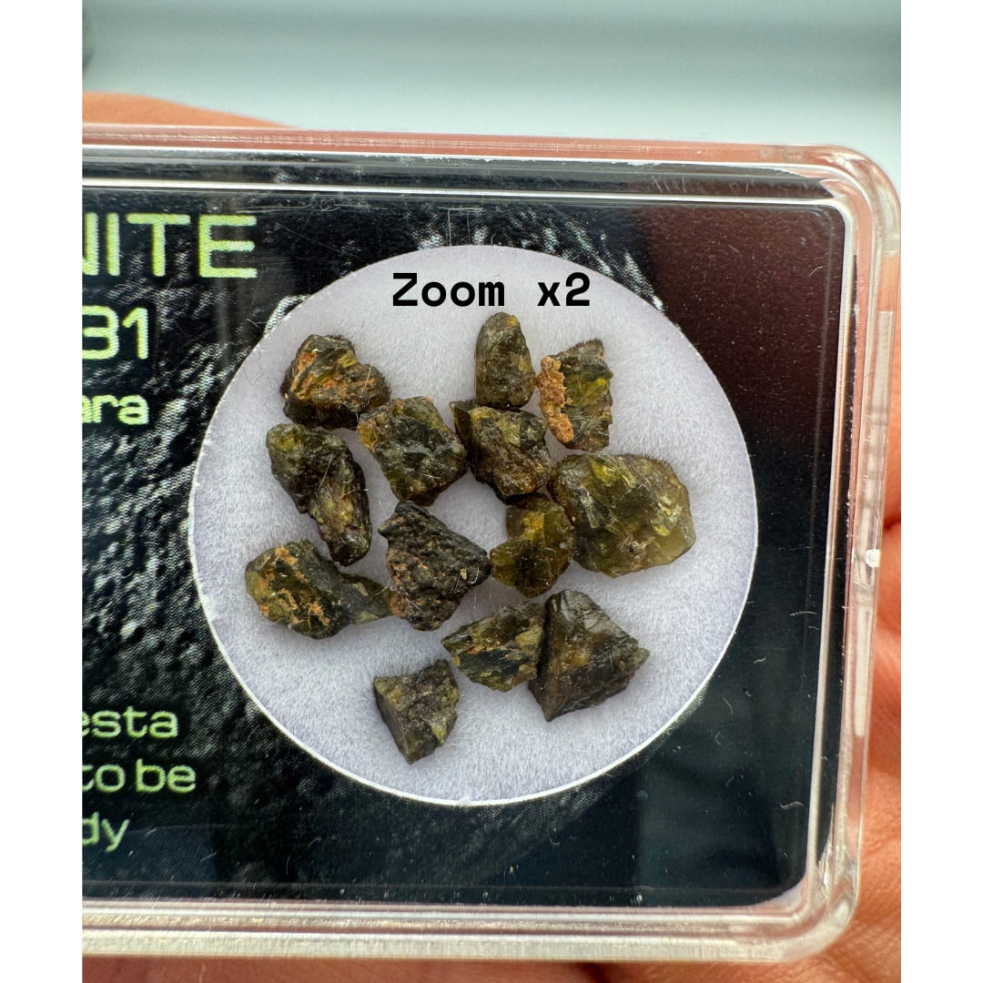 Fragments de Météorite NWA 7831 - Diogénite de Vesta