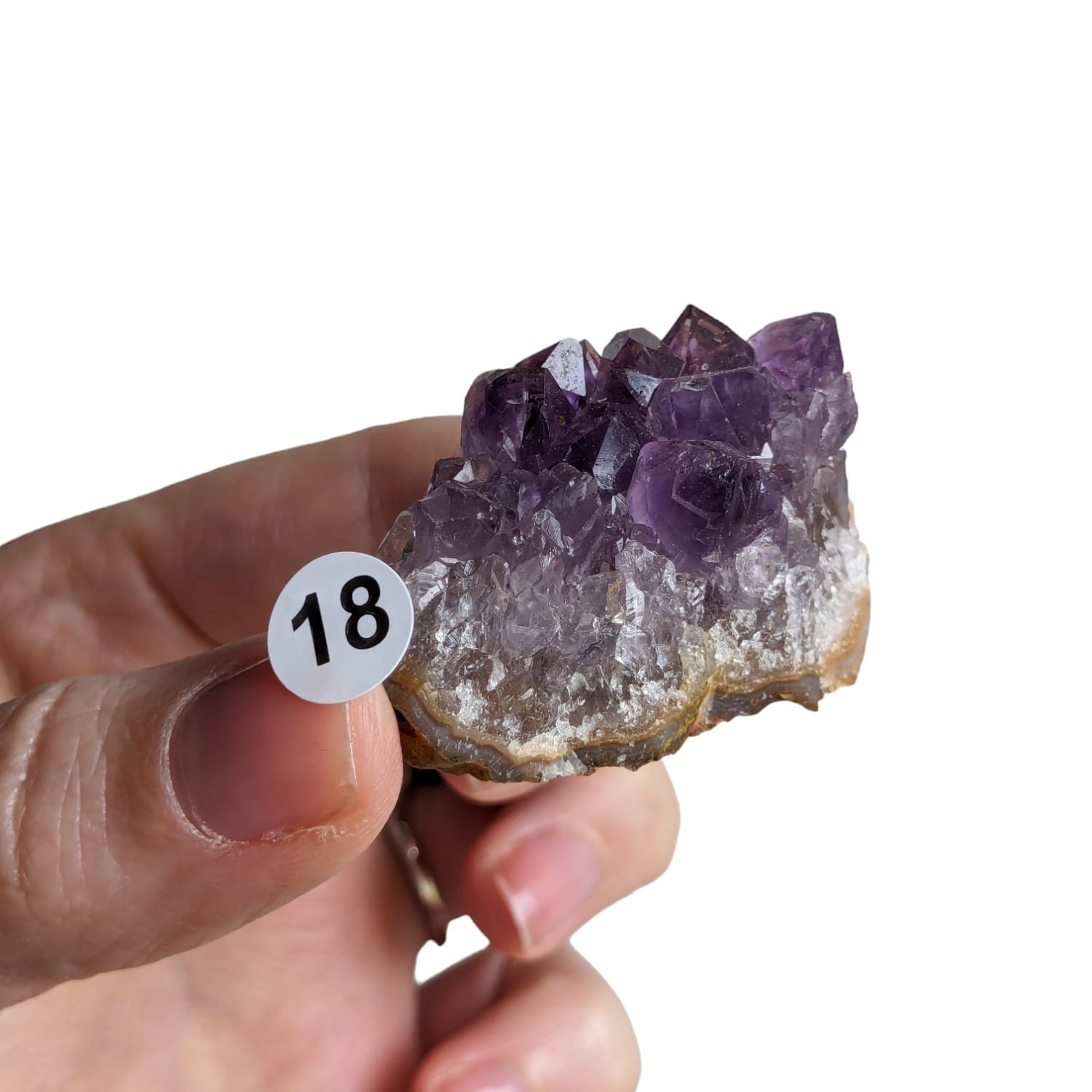 druse amethyste N18