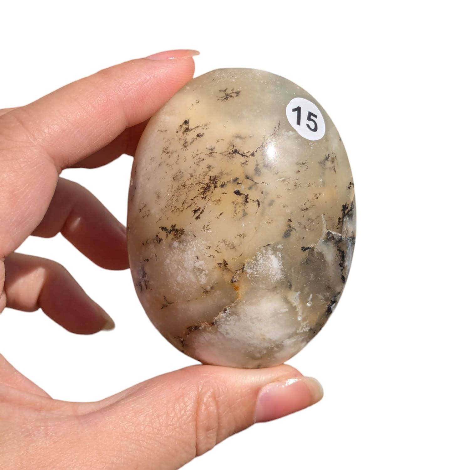 Galet Agate Dendritique – Stabilité et Harmonie