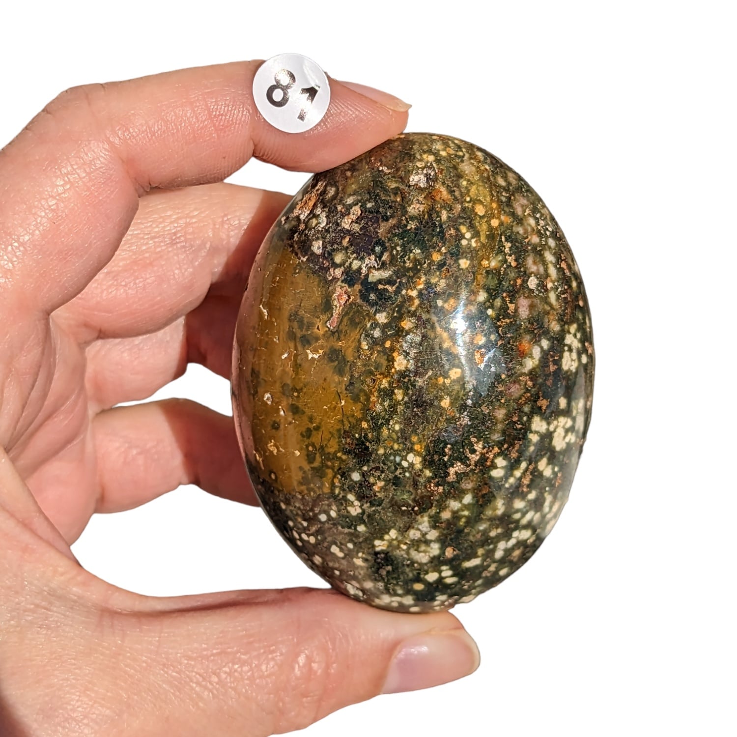 galet pierre jaspe orbiculaire