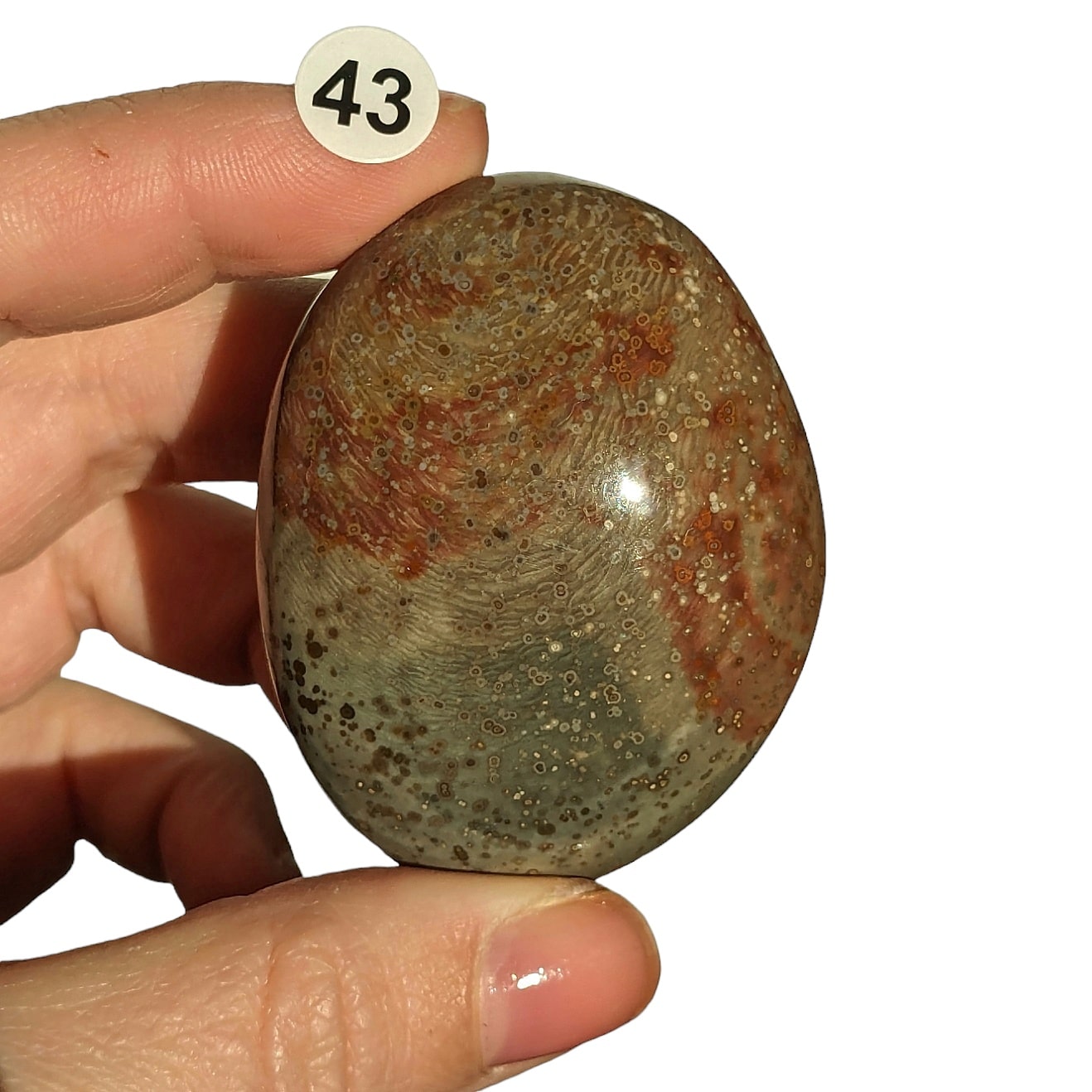 jaspe polychrome naturel en galet