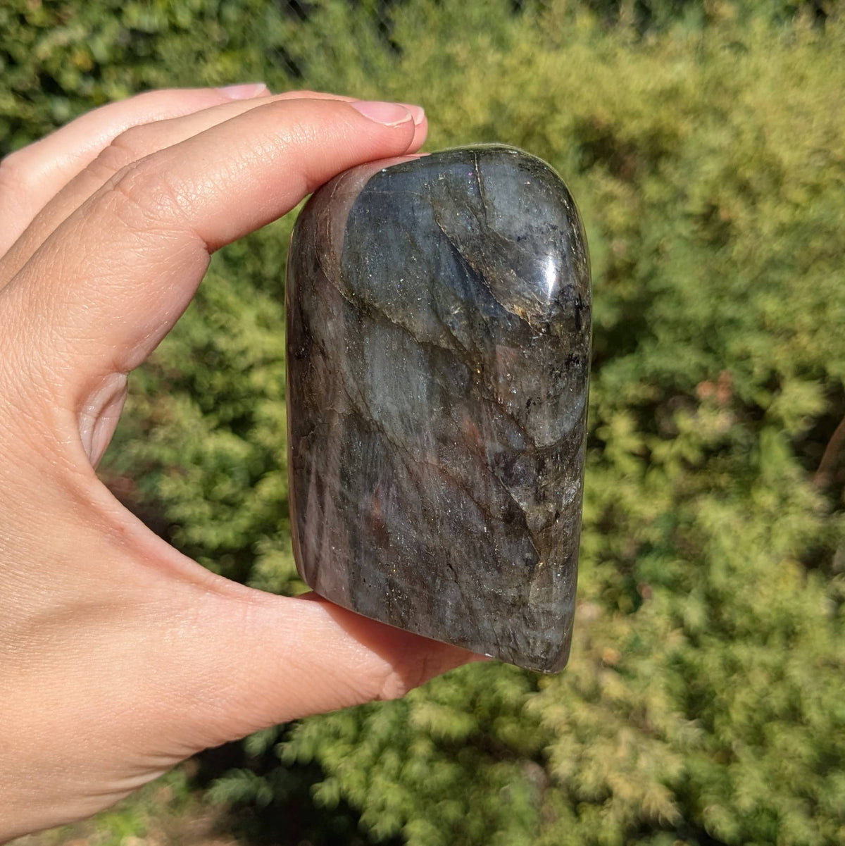 Bloc Labradorite N°42