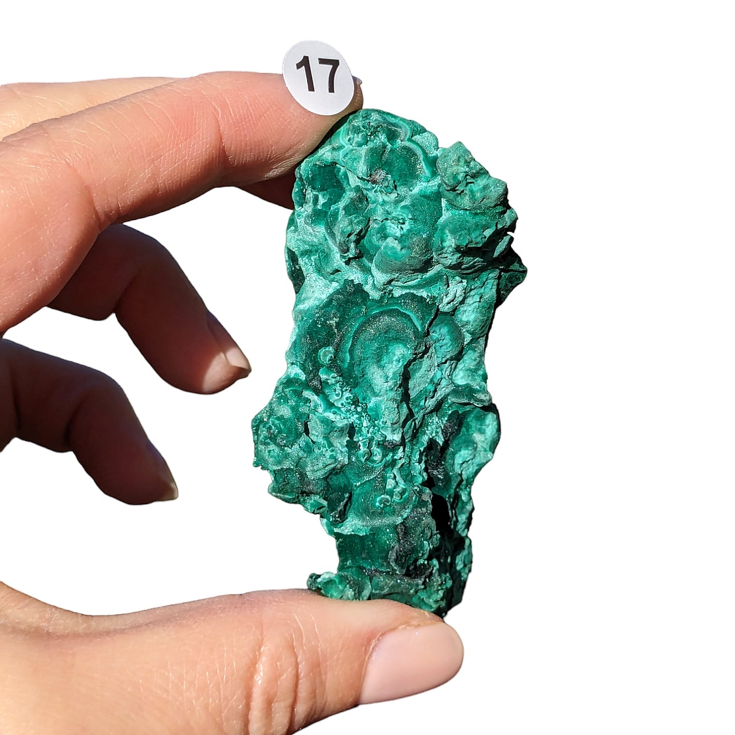 Malachite Fibreuse – Protection et Transformation