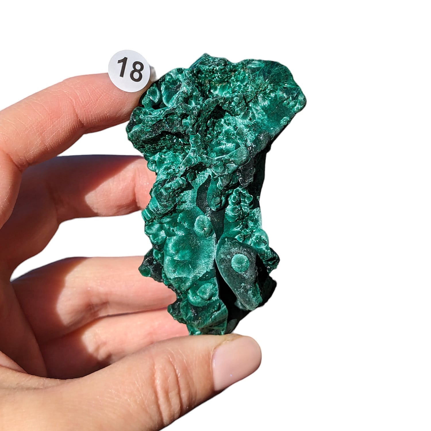 Malachite Fibreuse – Protection et Transformation
