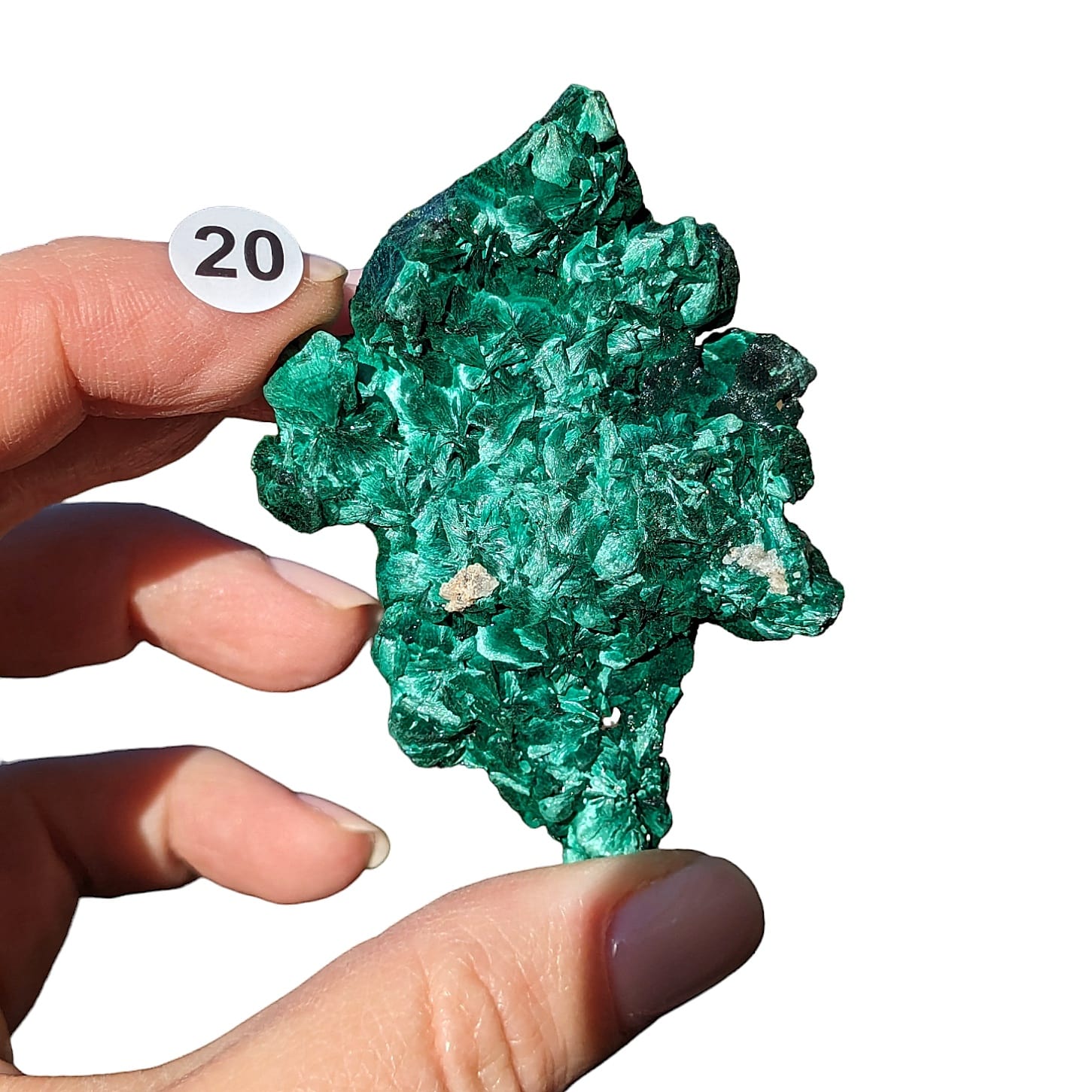 Malachite Fibreuse – Protection et Transformation