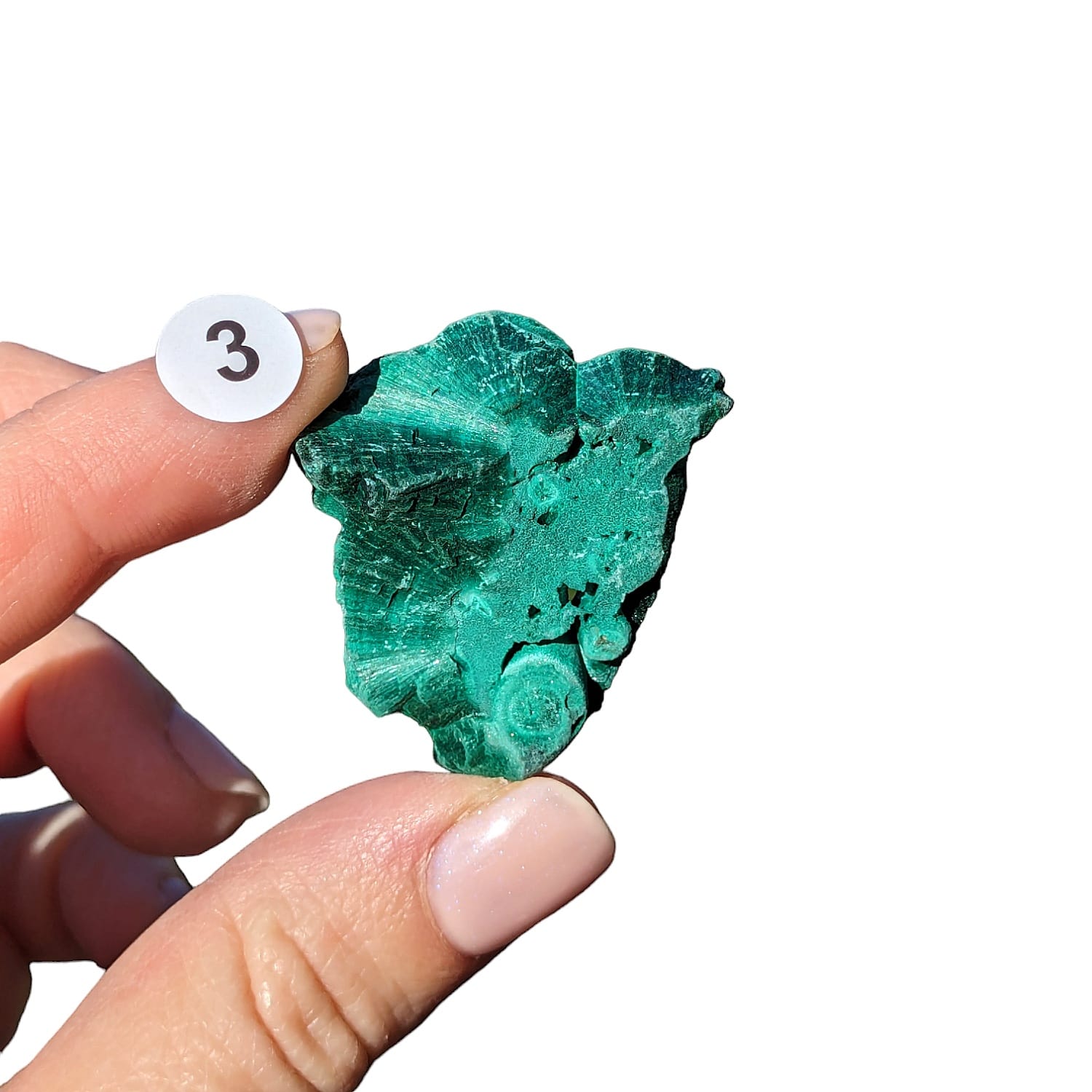 Malachite Fibreuse – Protection et Transformation