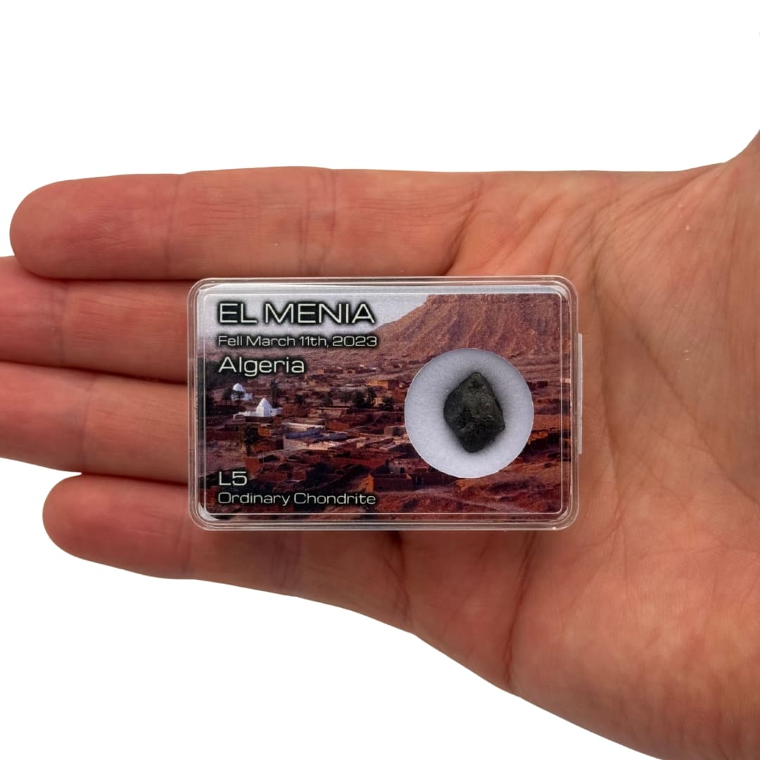 Météorite El Menia - Chute Récente de 2023 (L5)