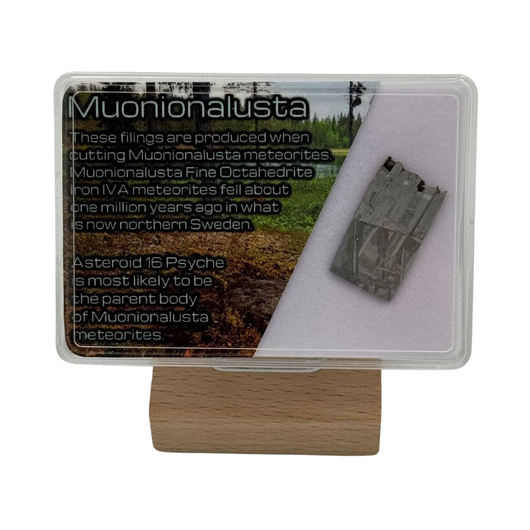 Météorite Muonionalusta - Tranche de Fer de Suède (Figures de Widmanstätten)