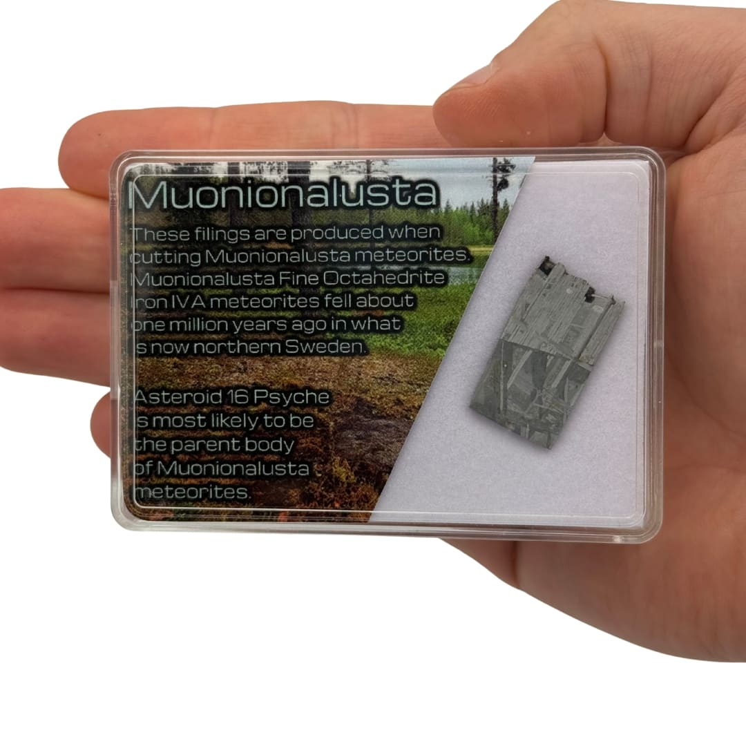 Météorite Muonionalusta - Tranche de Fer de Suède (Figures de Widmanstätten)