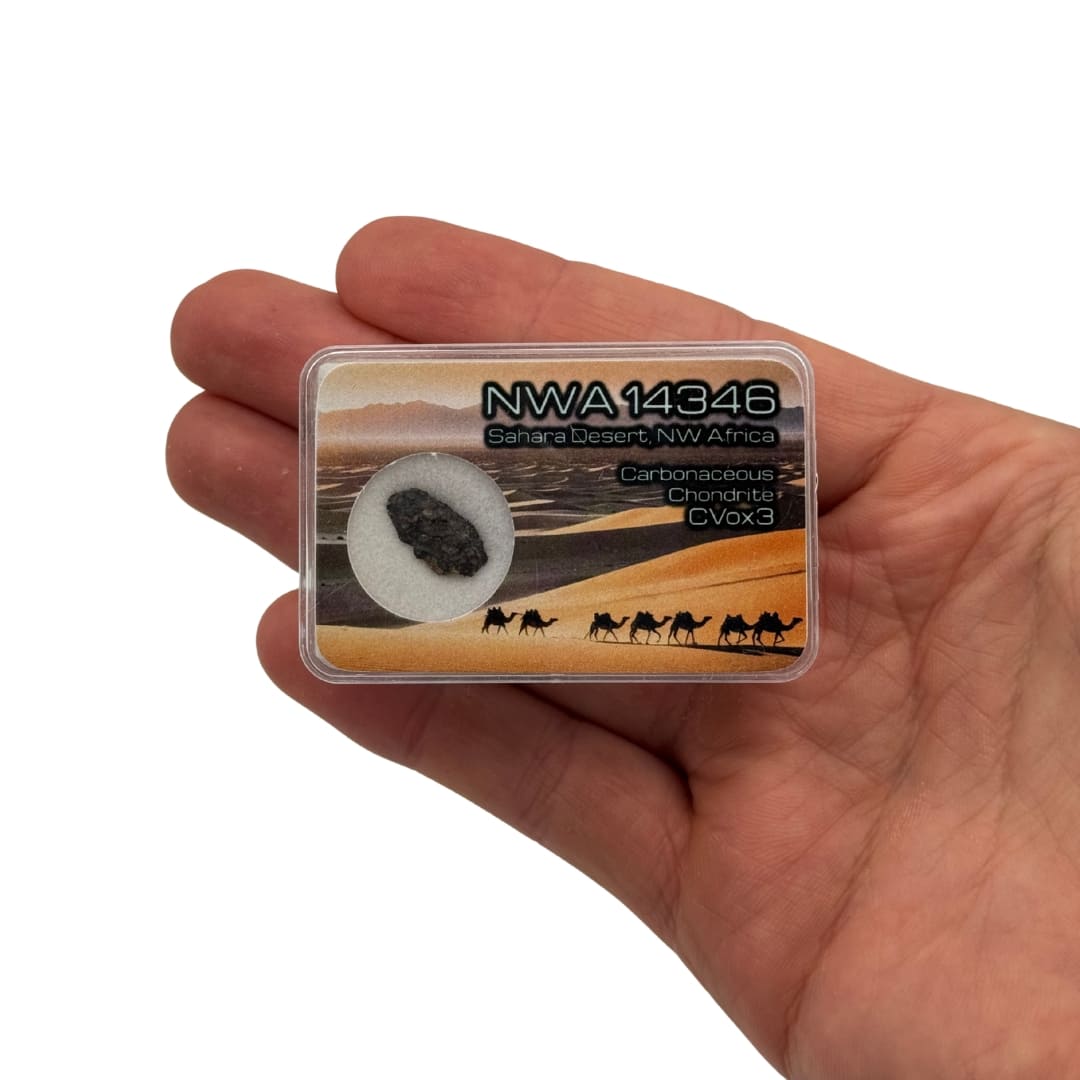 Météorite NWA 14346 - Chondrite Carbonée (CVox3)