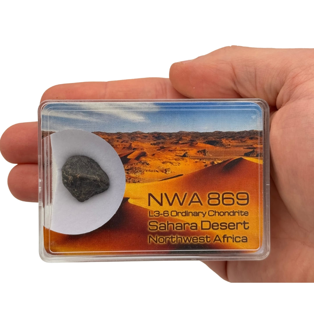 Météorite NWA 869 - Chondrite Bréchique L3-6 (Sahara)