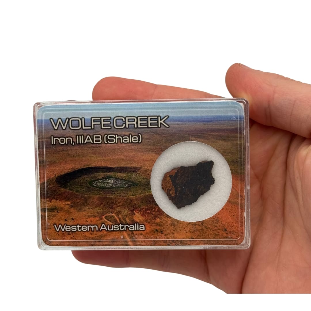 Météorite Wolfe Creek - Shale du Cratère (Australie)