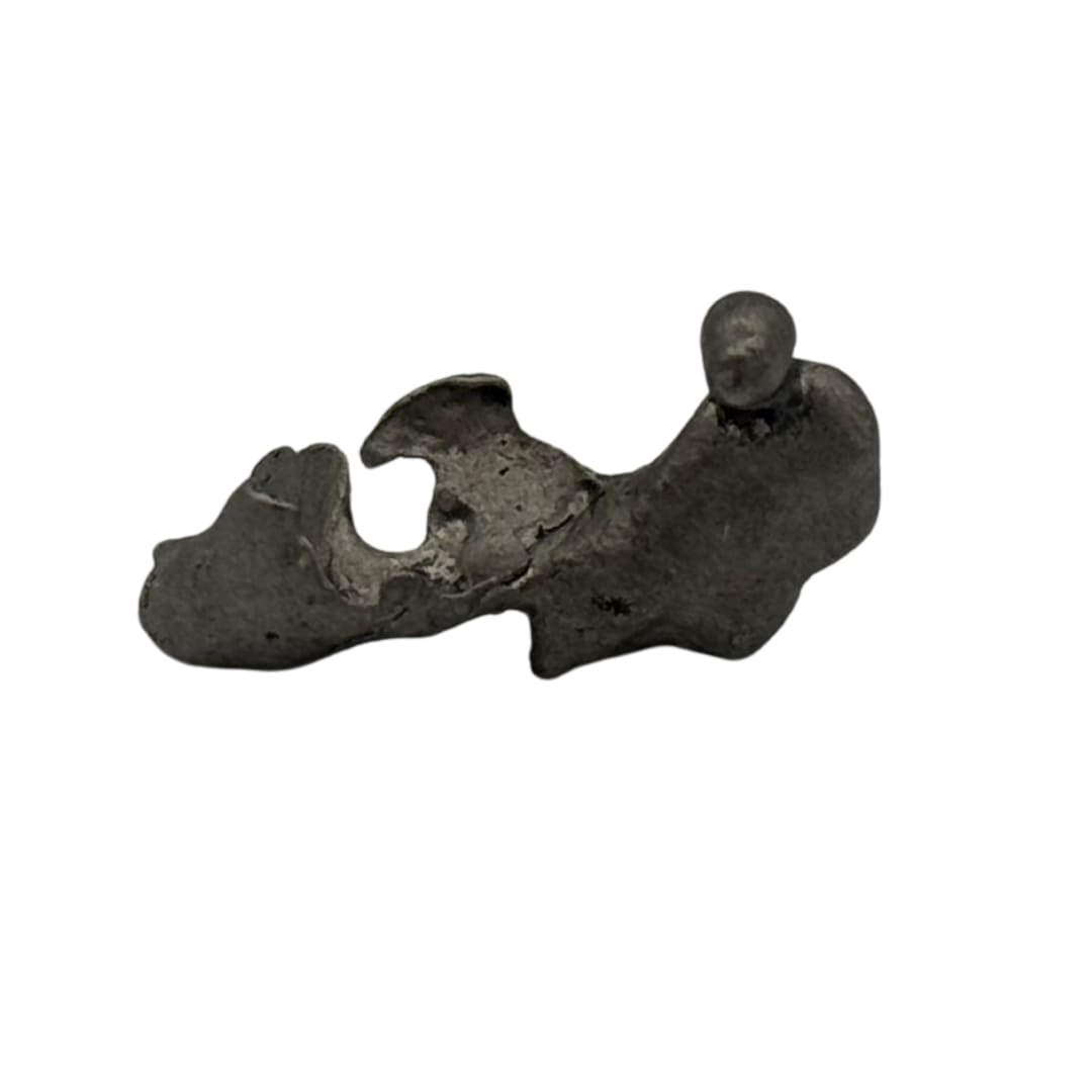 Météorite Campo del Cielo - Fragment de Fer (Argentine)