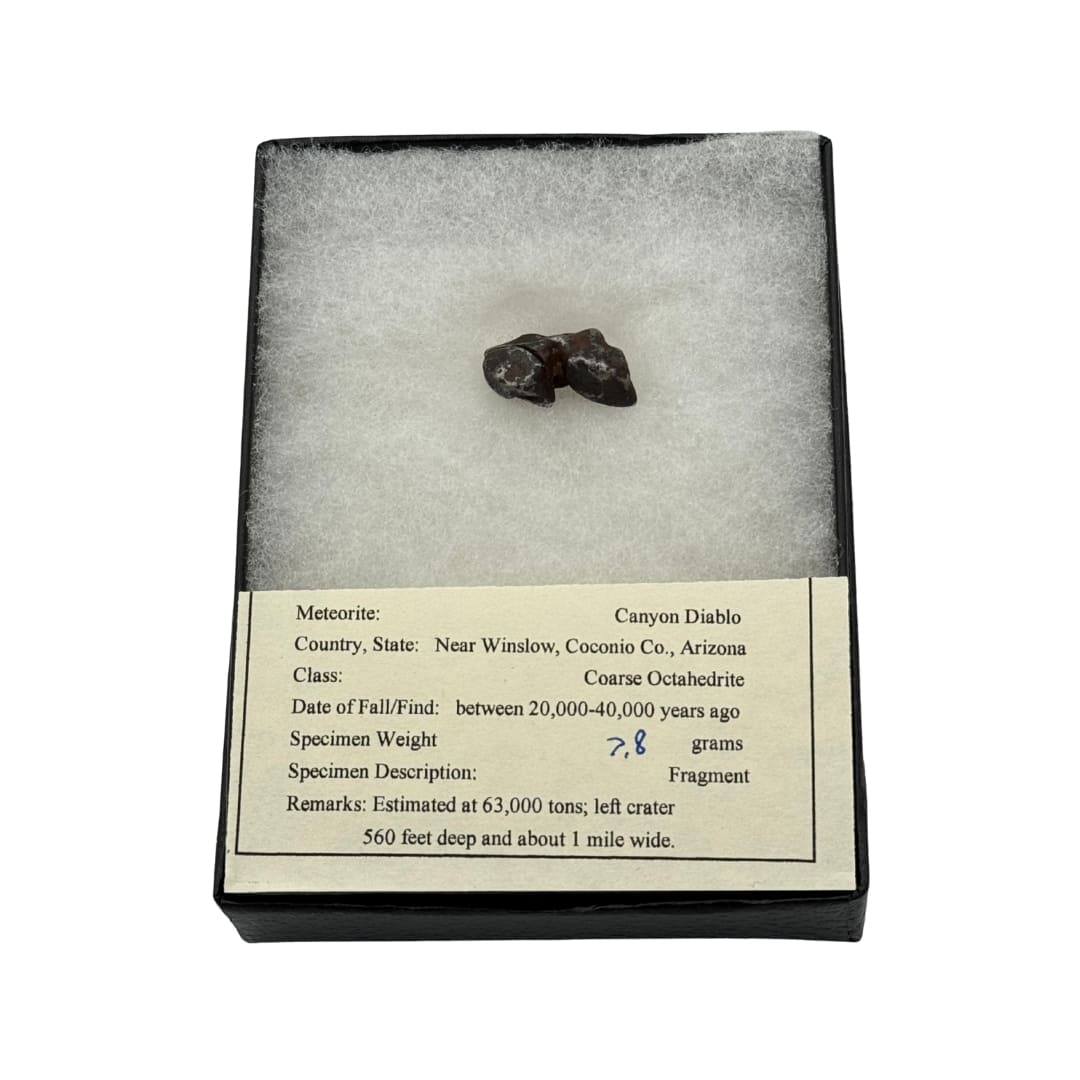 Météorite Canyon Diablo 7.8g - Fragment Unique (Meteor Crater)