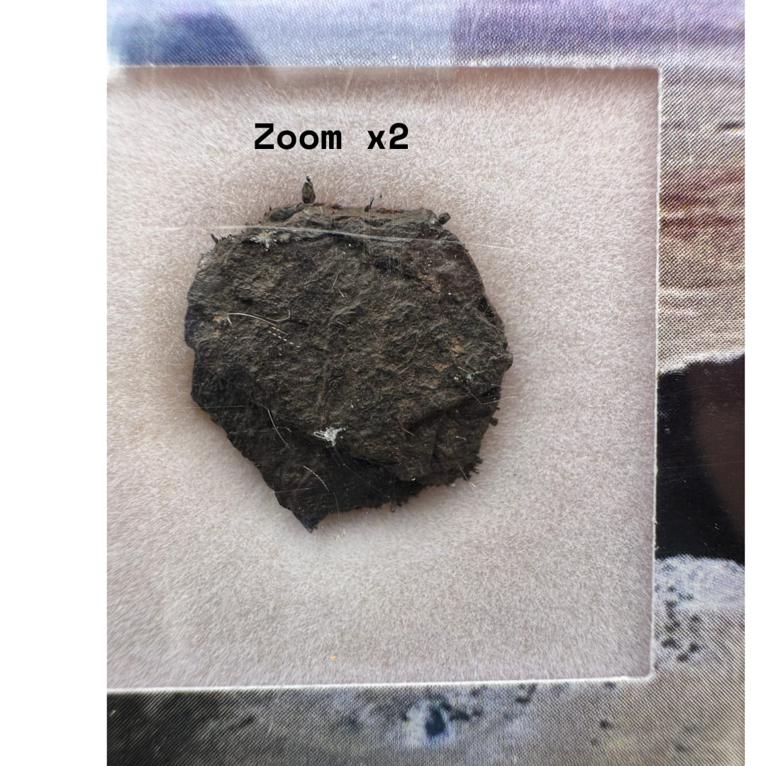 Météorite Canyon Diablo - Fragment du Meteor Crater (Arizona)