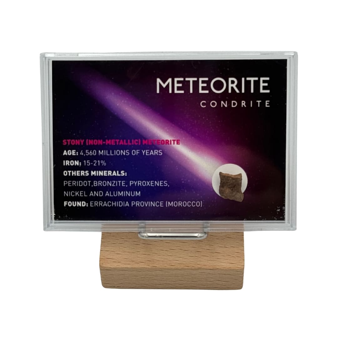 Fragment de Météorite Commune NWA - Chondrite du Sahara