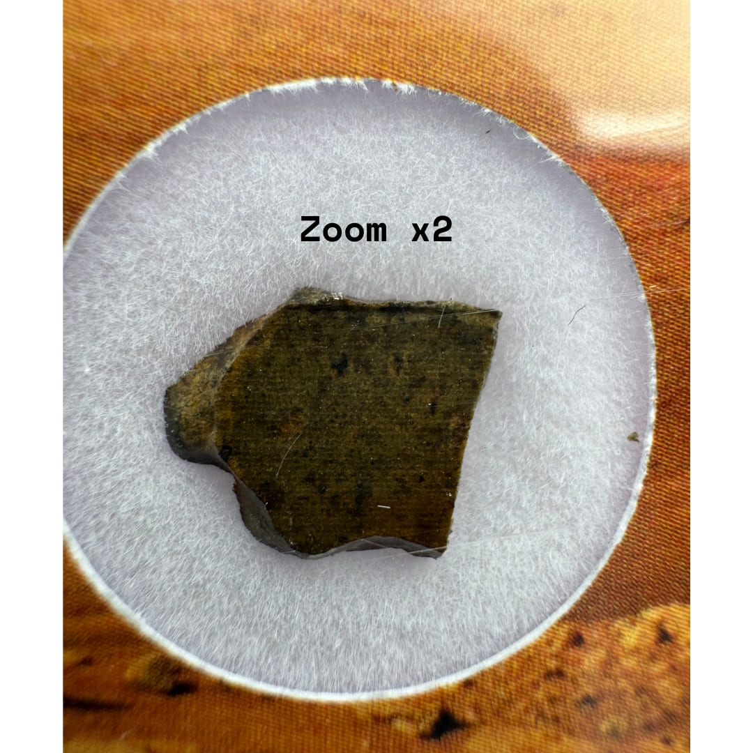 Fragment de Météorite Martienne - Amgala 001 (Shergottite)