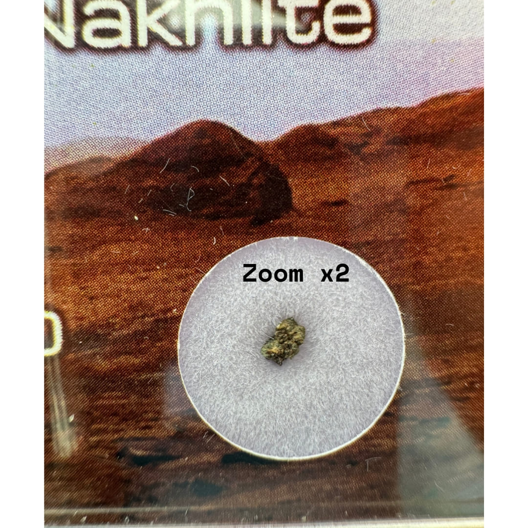 Météorite Martienne NWA 15200 - Nakhlite Rare (Augite)