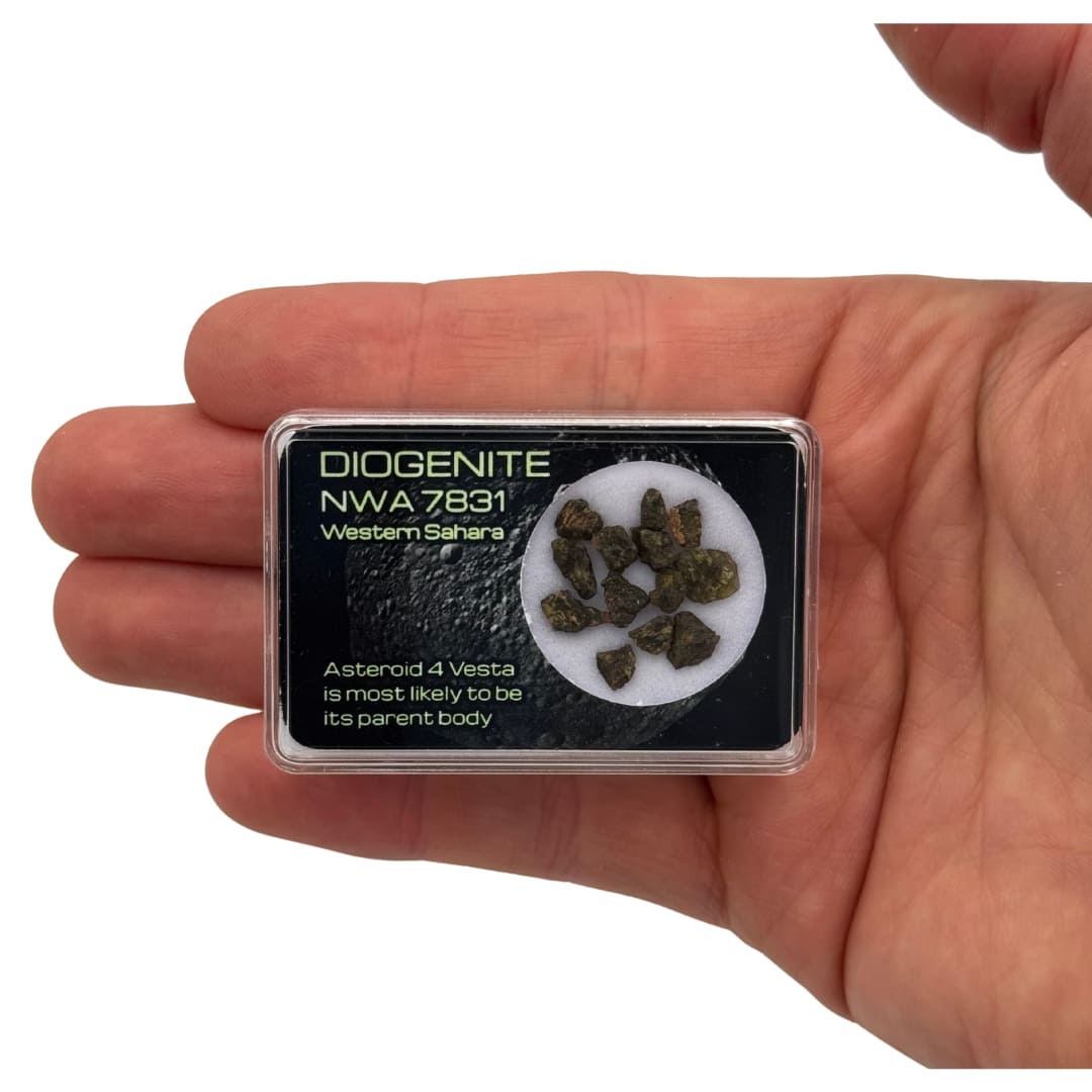 Fragments de Météorite NWA 7831 - Diogénite de Vesta