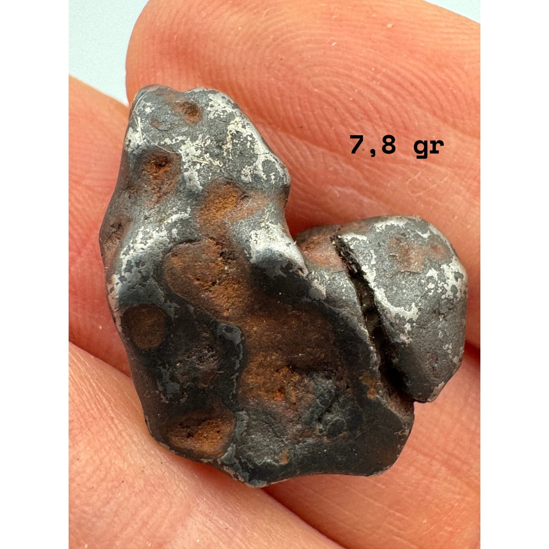 Météorite Canyon Diablo 7.8g - Fragment Unique (Meteor Crater)