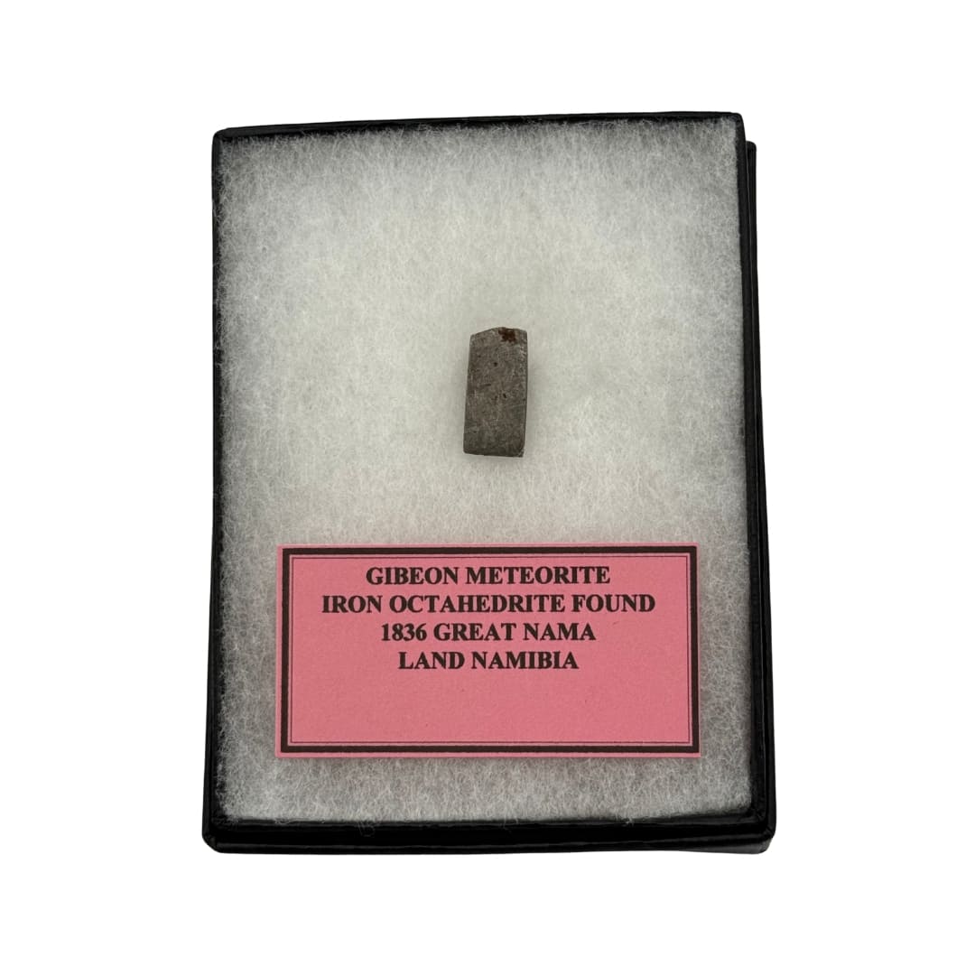 Météorite Gibeon 5.1g- Le Fer Stable de Namibie (Découverte 1836)
