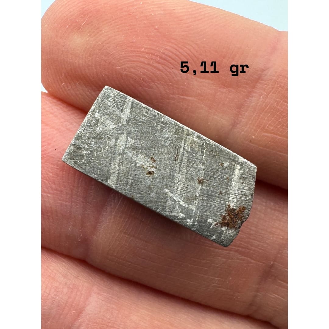 Météorite Gibeon 5.1g- Le Fer Stable de Namibie (Découverte 1836)
