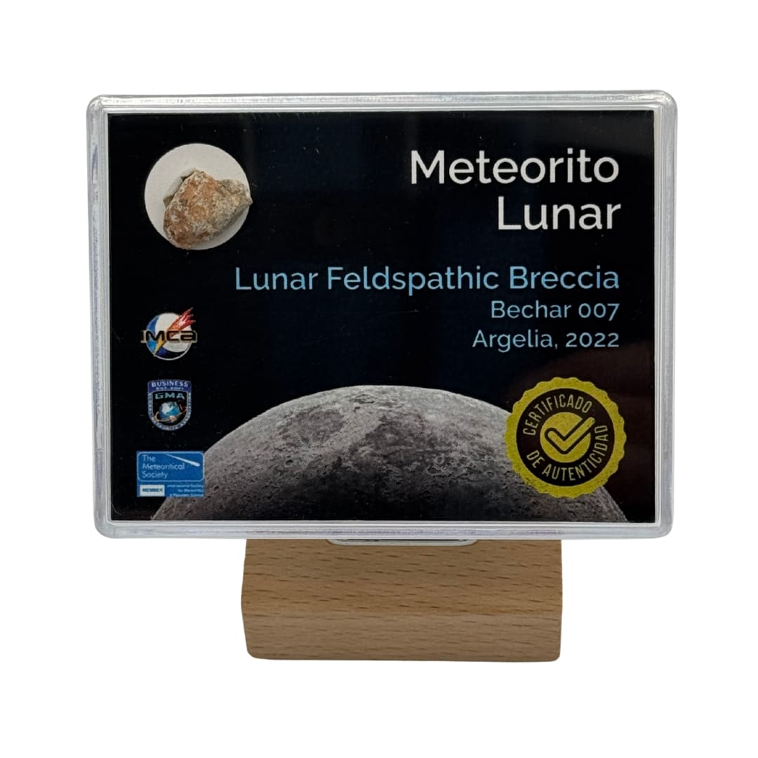 Fragment de Météorite Lunaire - Bechar 007 (Algérie 2022)